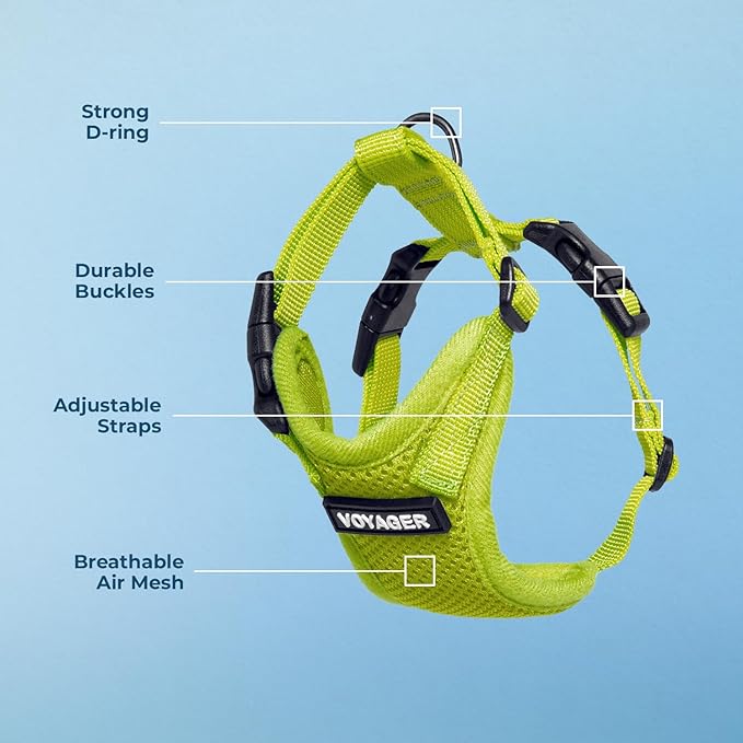 Voyager Step-in Pet Harness - All Weather Mesh, Adjustable Step in Harness for Cats and Dogs by Best Pet Supplies - Lime Green, S