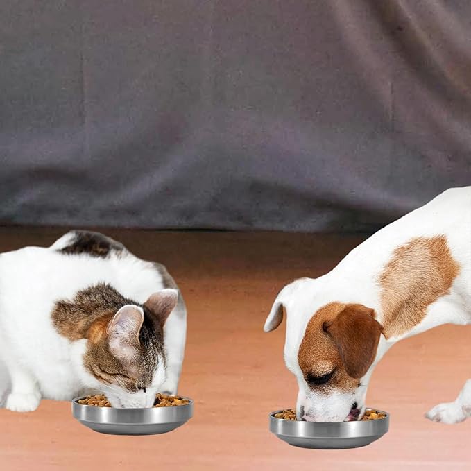 2 Pcs Whisker Fatigue Cat Bowl, 5.9 Inch Stainless Steel Cat Water Bowls, Shallow Cat Food Bowls Oval, Pet Bowls for Small Dogs Cats, Dishwasher Safe (Silver)