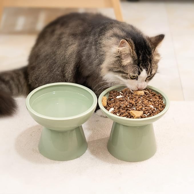 CEEFU Extra Wide Elevated Ceramic Cat Water Bowl - 6.2" Deeper Dish for Whisker Fatigue Relief, 5" Height for Easy Feeding, Lead & Cadmium Free, Durable Raised Cat Bowls, Green