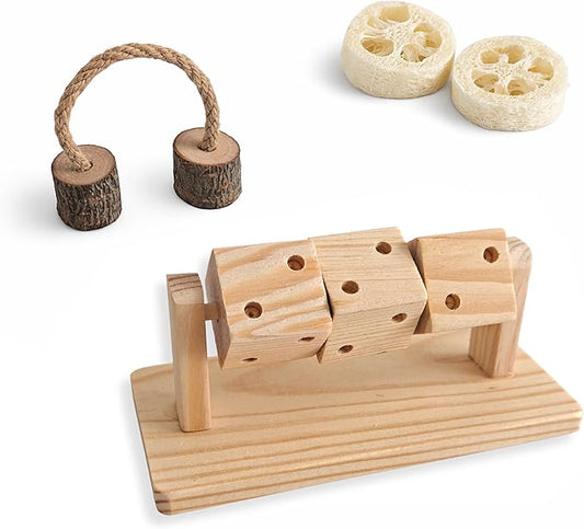 4 in 1 Hamster Chew Toy Set, Wooden Foraging Toy with Rotating Cubes, Apple Wood Chew and 2 Loofah Chews for Hamsters, Gerbils, Mice, Small Animals