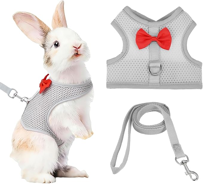 Rabbit Harness and Leash, Small Pet Cute Vest Harness Leash Soft Adjustable Buckle Breathable Mesh (M, Gray) for Bunny Kitten Small Pig Puppies Camping Hiking Training