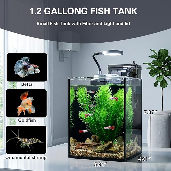 1.2 Gallon Small Aquarium Set Glass Fish Tank,Desktop Small Aquarium Kit for Beginners and Children to Keep Betta Fish, Goldfish, Shrimp, and Aquatic Plants (Black, 1.2 Gallon (Complete Kit))