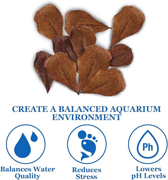 10Pcs Catappa Indian Almond Leaves Aquarium Decor Water Conditioner | Betta Fish Tank Decor,for Betta Fish Shrimp Goldfish Guppy,Balance PH,Natural Tannins,Axolotl Tank Accessories