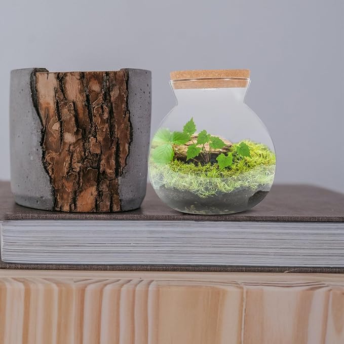 Hemobllo Small Fish Tank with LED Light, High Borosilicate Glass Betta Fish Tank for Desktop, Mini Aquarium Kit for Micro Landscape, 1 Gallon Ecological Bottle with Wooden Lid for Office