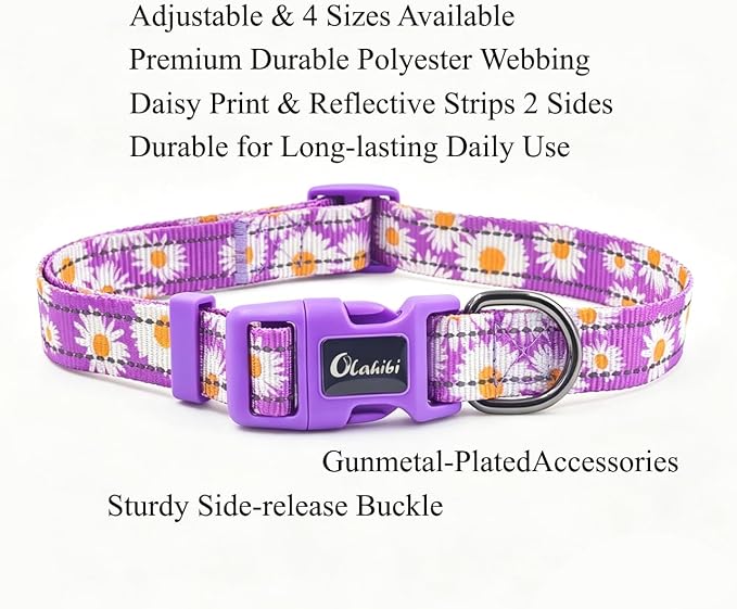 Dog Collar Leash Set, Floral Pattern, with Safety Reflective Strips, 5 ft Matching Leash, Neoprene Padded Handle, Adjustable 4 Sizes for Small Medium Large Dogs.(M, Purple Daisy)