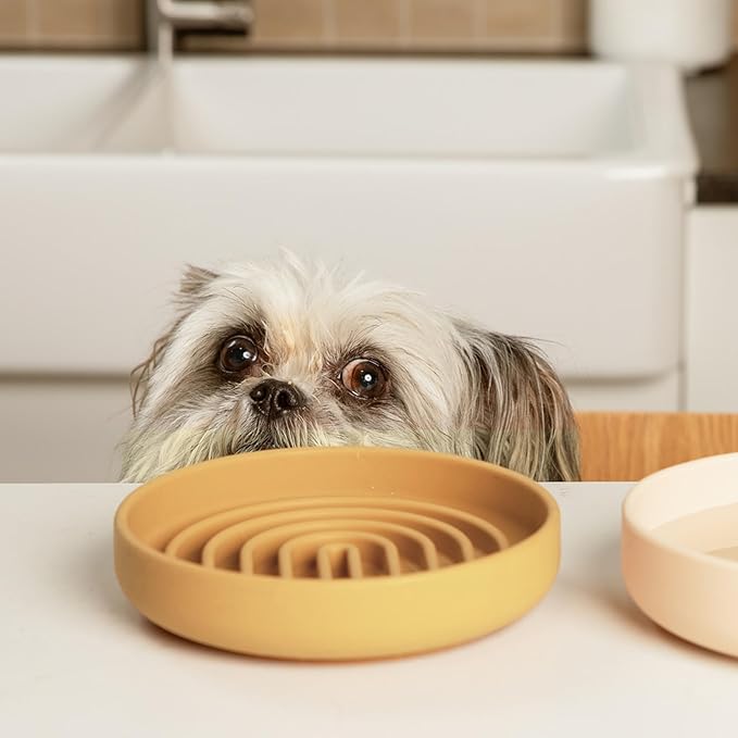 Should We Go? Slow Feeder for Dogs & Cats, The Slowdown Bowl Silicone Slow Eating Mealtime Solution with Modern Lick Mat Design, Reduces Gulping, Fits 1 Cup, 6” Across x 1.25” Tall, Small-Honey