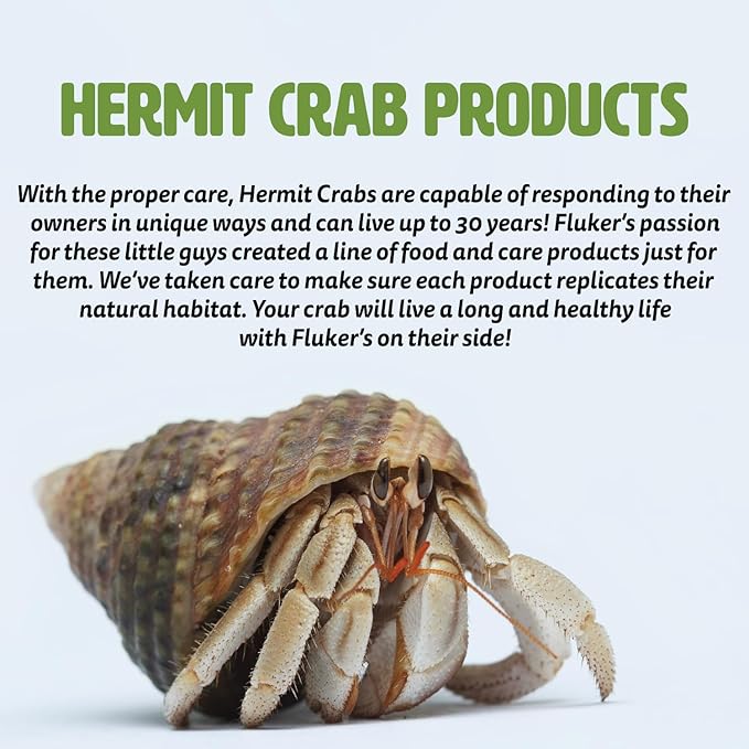 Fluker's All Natural Premium Hermit Crab Sand Substrate, Sand Mixture with Coconut Fiber, For Hermit Crab Tanks, 12 lbs.