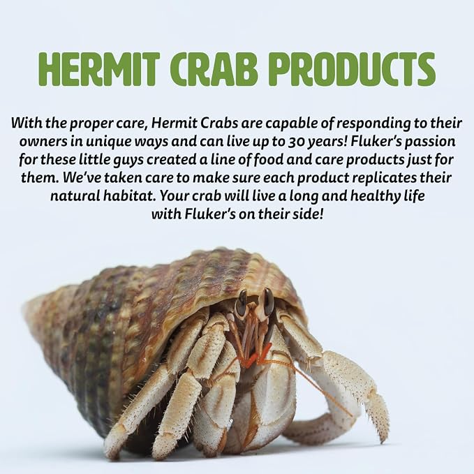 Fluker's All Natural Premium Hermit Crab Sand Substrate, Sand Mixture with Coconut Fiber, for Hermit Crab Tanks, 12 lbs. (Pack of 2)