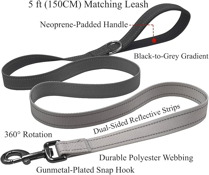Dog Collar Leash Set, Gradient Color, with Safety Reflective Strips, 5 ft Matching Leash, Neoprene Padded Handle, Adjustable 4 Sizes for Small Medium Large Dogs.(S, Black Grey)