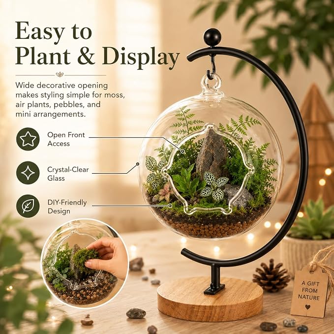 Terrarium Globe Kit, 4.7" Hanging Terrarium for Plants | Small Floating Garden with Wooden Display Stand for Succulents, Indoor Nature Decor, Easy Assembly, Gift for Plant Lover