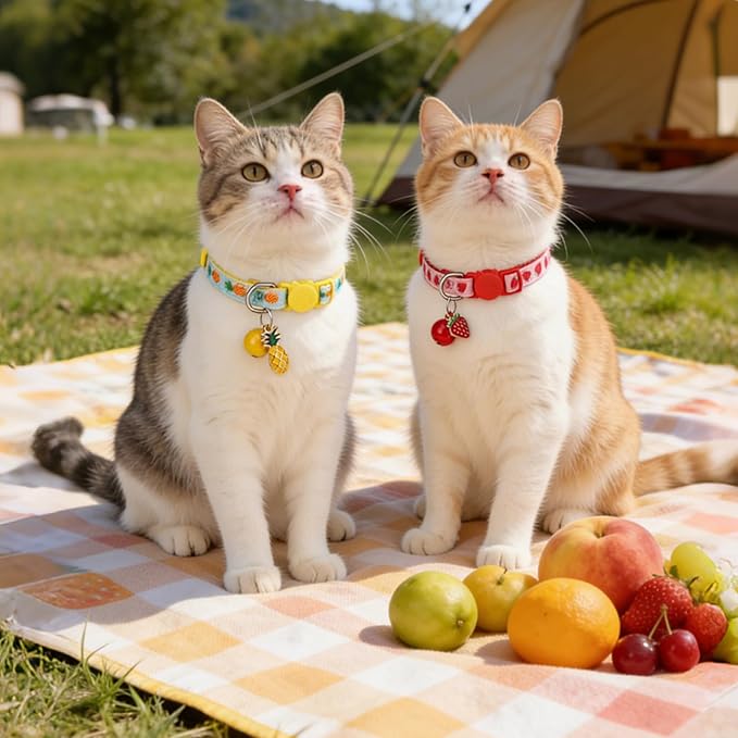 BINGPET Breakaway Cat Collar with Bell, 3 Pack Cat Collars for Girl Cats, Cute Kitty Collars Accessories with Pineapple & Cherry & Strawberry