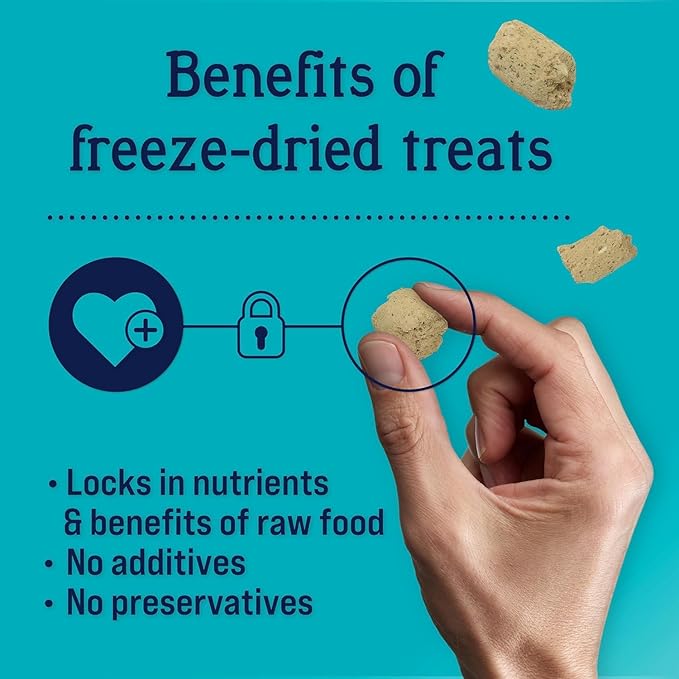 Stewart Freeze Dried Dog Treats, Chicken & Vegetable, Immunity Treats, Vitamin E, Grain Free, 4 Ounce Resealable Pouch, Made in USA