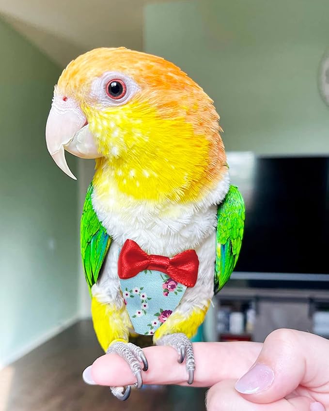 UKJENT Bird Diaper Protective Parrot Nappy 2 Pack, Reusable Outdoor Flight Suit with Waterproof Inner Layer, Machine Washable Cute Urine Wet Suit for Parrots Medium(M)