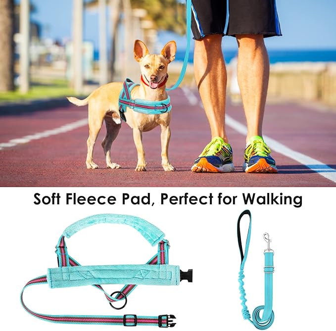 Lukovee No Pull Dog Harness and Leash Set, Soft Padded Small Dog Harness, Neck & Chest Adjustable Reflective Vest Puppy Harness with 4ft Lightweight Anti-Twist Dog Leash for Small Dogs (XXS, 01-LBL)