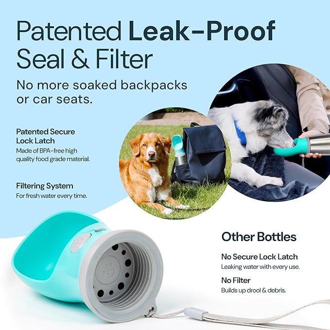 MalsiPree Leak Proof Stainless Steel Portable Dog Water Bottle - 24 oz, Blue Water Dispenser for Pets - Outdoor Dog Travel Water Bottle - for Trail Hiking, Park Visit & Beach Days