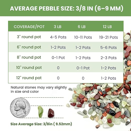 6Lb Polished Multi-Color Washed Rice Stone, 3/8 Inch Small Gravel | Fine Polishing, Water Permeability and Anti Slip, Noise Reduction and Wear Resistance, Natural Raw Stone