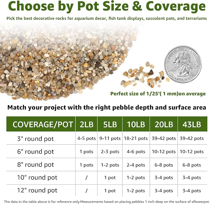 10 lbs Aquarium Coarse Sand, 1/12'' Premium Gravel and Substrate | Water-Washed, Undyed, Uncoated, for Nano Tanks, Planted Layouts, Stream-Style Aquascapes, Vivariums, Terrariums, Plants