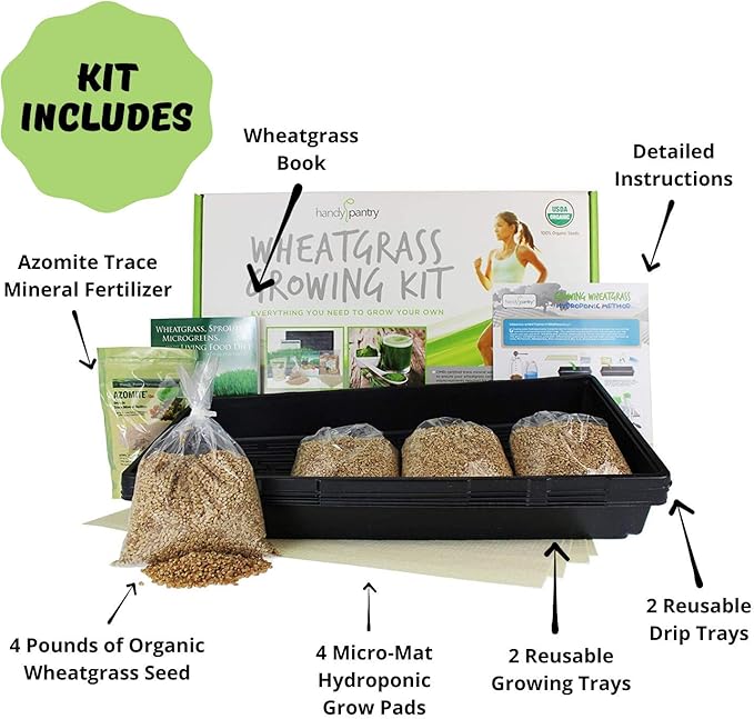 Handy Pantry Wheatgrass Growing Kit - Hydroponic - Certified Organic - Non-GMO - Easy & Fast to Grow Wheat Grass at Home for Wheatgrass Shots & Cat Grass
