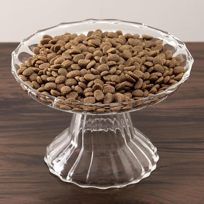 Elevated Cat Bowls Whisker Friendly. Raised Glass Whisker Fatigue Cat Bowl for Indoor Cats Protect The Spine and Prevent Vomiting.