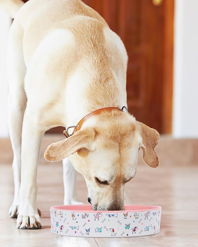 Slow Feeder Dog Bowl, Ceramic Dog Bowls 1.5 Cup Puzzle Feeder - Stops Fast Eating, Prevents Bloat, Choking & Black Chin for Medium/Large Dogs, Pink﻿