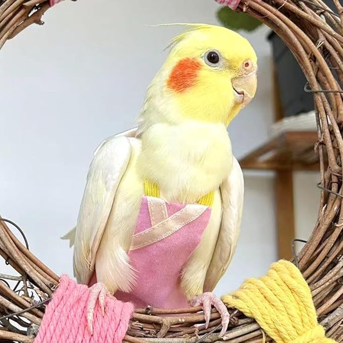 Bird Flight Suits Diapers, Parrot Flight Suits Diapers for Quaker Parakeets Cockatiels Conures Macaw African Grey, Bird Diaper, Parrot Clothes (Red B,2M)