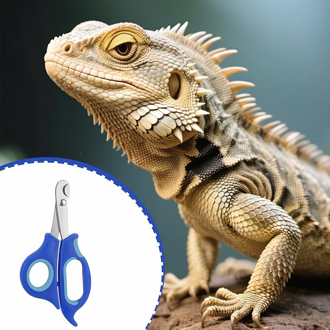 BOXOB Bearded Dragon Nail Clippers, Stainless Steel Pet Animal Lizard Cat Dog Toe Nail Scissors Trimmer Professional Reptile Grooming Tool with Precise Angled Edge for Small Reptiles Turtle Chameleon