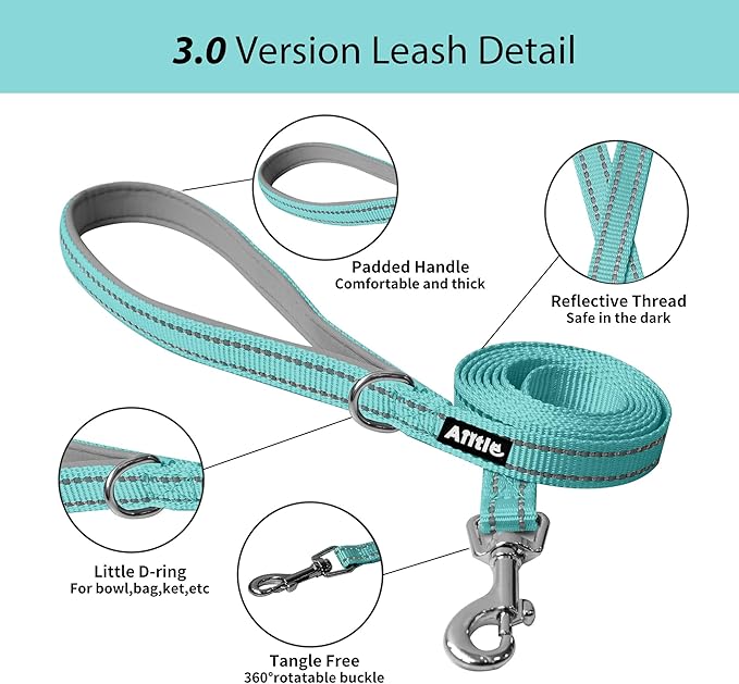 AIITLE Step in Dog Harness and Leash Set - No Pull Escape Proof Vest Harnesses with Soft Mesh and Reflective Bands, Adjustable Pet Outdoor Harnesses for Small and Medium Dogs Turquoise M