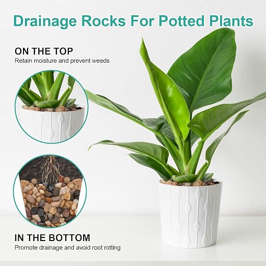 2.2lb Drainage Rocks for Potted Plants, 1/5 Inch Decorative Pea Gravel | Small Pebbles for Indoor Plants, Aquarium, Fish Tank, Succulent, Vases, Terrarium Cactus, Crafts, Bamboo, Mixed Color