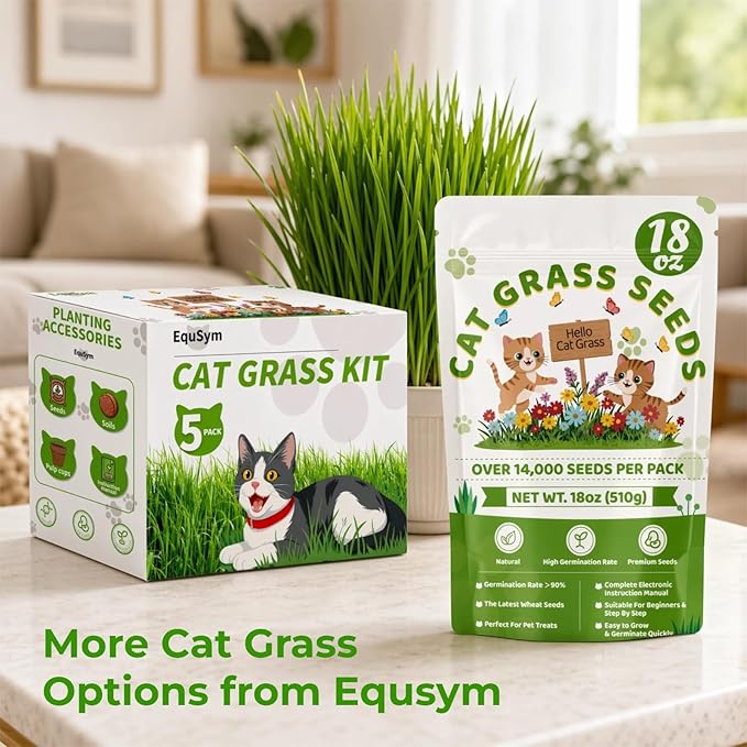 18oz Cat Grass Seeds Bulk - Over 14000+ Premium Cat Grass for Indoor Cats & Pets, High Germination Rate & Easy to Grow, Non-GMO Wheat Grass Seed for Planting(510g)