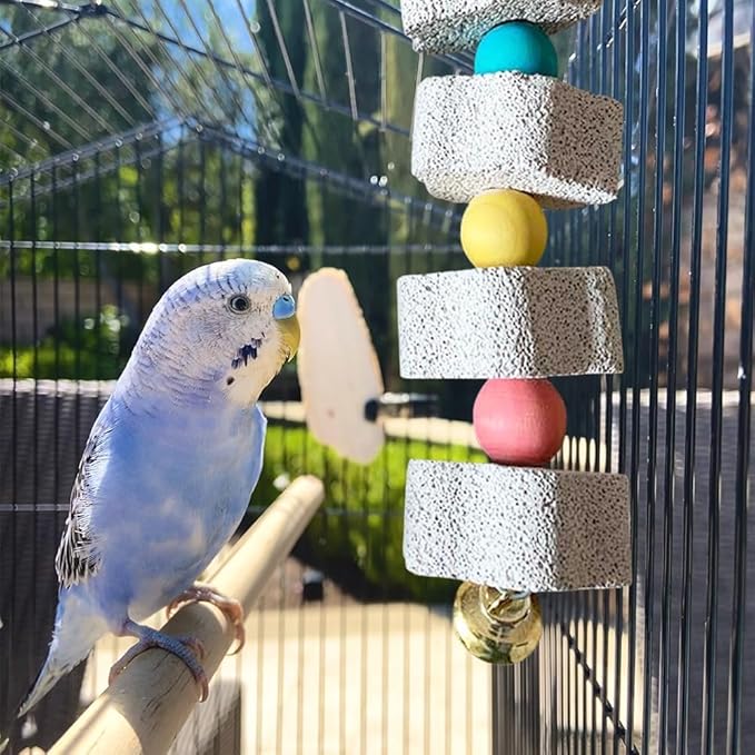 BWESOO Cute Bird Grinding Beak Calcium Stone with Bell Mineral Lava Block Trimming Teeth Chewing Toys for Chinchilla Bunny Parrot Bird Toys