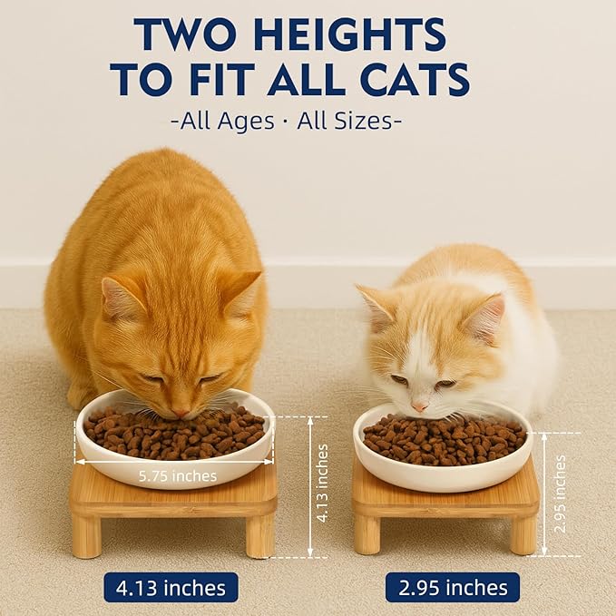 DoogCat Elevated Cat Bowls for Indoor Cats – Raised Bamboo Cat Bowl Stand with 5.75 Inch Wide Ceramic Dishes, Pet Food Plate Table for Easy Feeding, Whisker Friendly(White,Set of 2)
