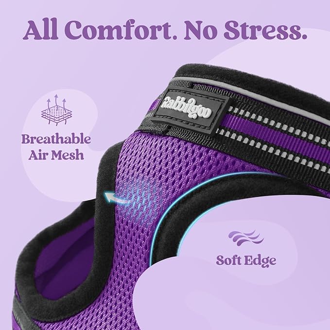 rabbitgoo Cat Harness and Leash Set for Walking Escape Proof, Adjustable Soft Kittens Vest with Reflective Strip for Cats, Comfortable Outdoor Vest, Purple, S