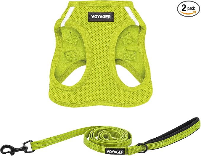 Best Pet Supplies Voyager Step-in Air All Weather Mesh Harness and Reflective Dog 5ft Leash Combo with Neoprene Handle, for Small, Medium and Large Breed Puppies - Lime Green, XX-Small