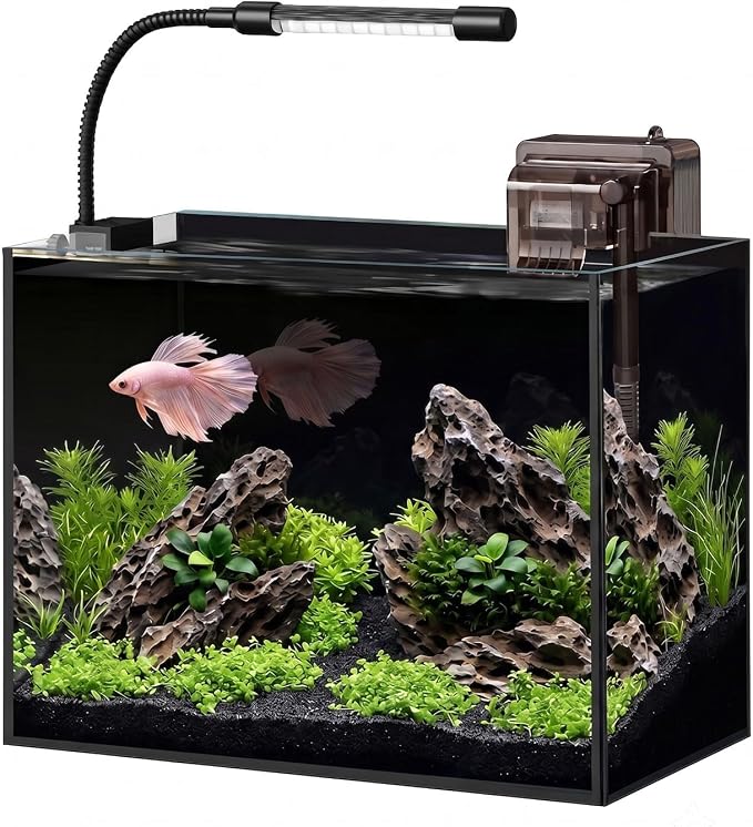 2.5 Gallon Nano Aquarium Starter Kit, Rimless Glass Fish Tank | Leak-Proof Complete Starter Kit for Betta & Goldfish with Filter, Adjustable LED Light, Filtration & Easy Setup