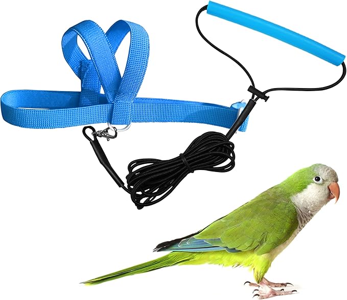 Pet Parrot Bird Harness Leash Adjustable Bird Flying Harness Traction Rope with Cute Wing for Parrots Pigeons Budgerigar Lovebird Cockatiel Mynah Outdoor Training Toy (Blue,M)