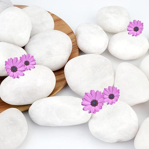 NUPICK 16lb White River Rocks for Outdoor Landscaping, 2-3 Inch Pebbles for Indoor Plants, Natural Polished Aquarium Gravel, Decorative Rocks for Succulent, Garden, Vases Fillers, Bird Baths