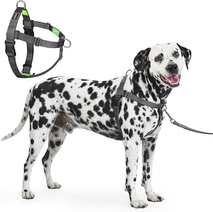 Freedom No Pull Dog Harness for Large Dogs, Easy Walker, Front Clip, Anti Pull with Two Stainless D-Rings, Comfortable, Sewn-in Instructions Tags for Easy Use (Black, XXL)