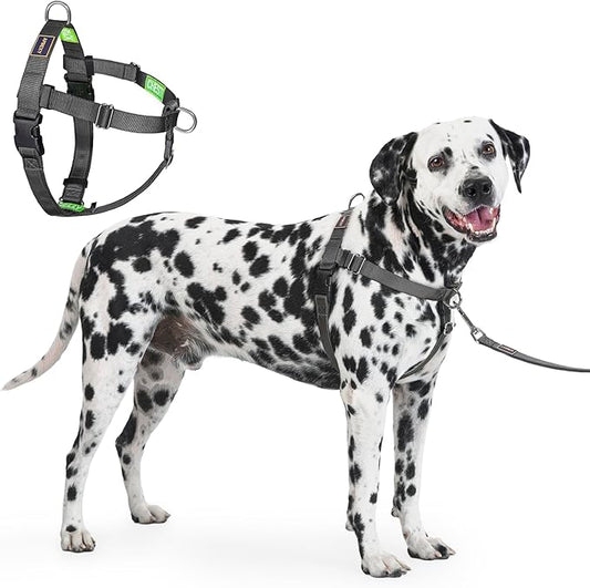 Freedom No Pull Dog Harness for Large Dogs, Easy Walker, Front Clip, Anti Pull with Two Stainless D-Rings, Comfortable, Sewn-in Instructions Tags for Easy Use (Black, XXL)