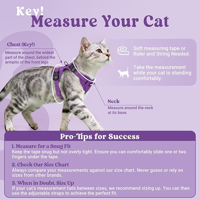 rabbitgoo Cat Harness and Leash, Escape Proof Vest with 3 Adjustable Buckles, Soft Comfortable Kitten Harness, Easy to Wear, Reflective for Safe Outdoor Walking, XS, Purple