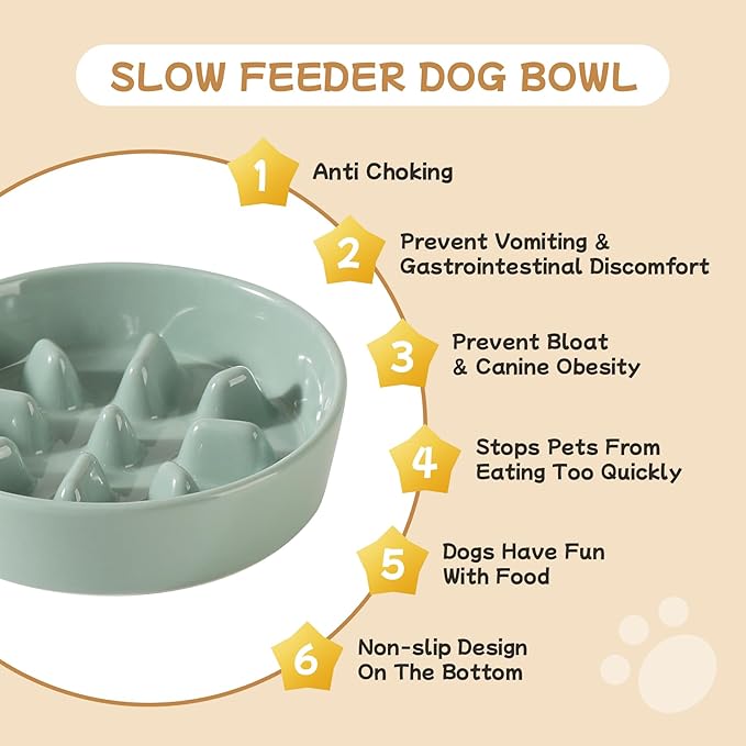 Havniva Ceramic 0.9 Cup Raised Slow Feeder Dog Bowl Set, Elevated 6.1inch Slow Dish and 6.1inch Water Bowl with Wooden Stand for Small Dogs (2 x Light Green+ Stand)