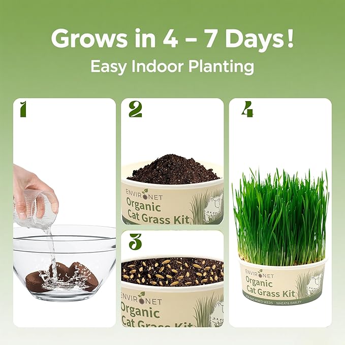 Cat Grass Kit for Indoor Cat, Organic Grass Growing Kit with Seeds, Soil and Planting Tools, Quick Germination, Perfect for Beginners