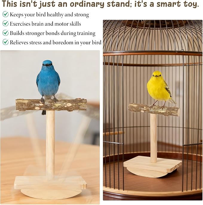 Natural Wood Bird Perch Stand Training, Rocking Perch for Birds, Intelligence Puzzle Enrichment Toys for Parakeets, Parrot Perch Stand for Cockatiels, Budgies, Conures, Bird Playground Accessories