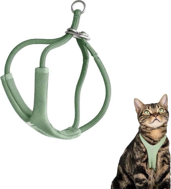 Escape Proof Y Shape Cat Harness Anti-Choke Adjustable Soft Comfortable Padded Cat Vest Harness Anti Escape Cat Rope Harness for Kitten Small Medium Large Cats (Olive, M)