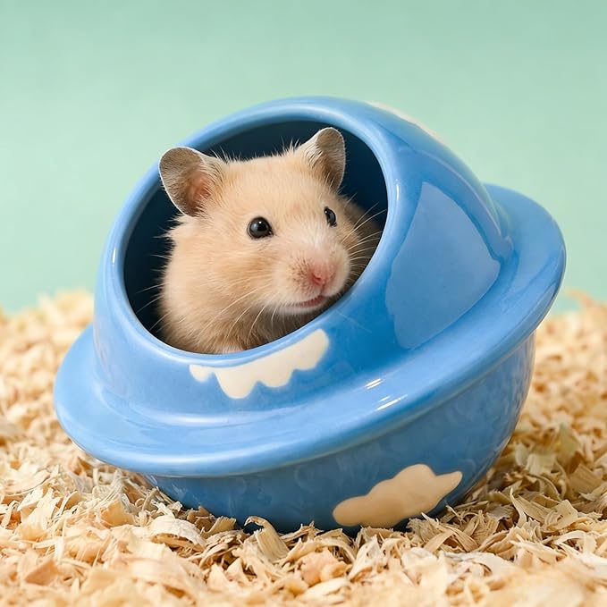Ceramics Hamster Hideout Planet-Shape Guinea Pig Bed Cute Cool Summer Cage for Small Animal Dwarf, Gerbil, Squirrel (Blue)