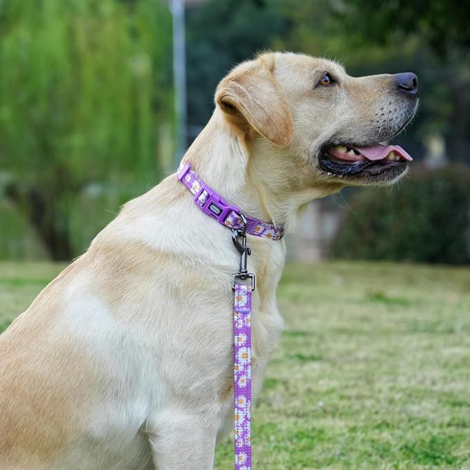 Dog Collar Leash Set, Floral Pattern, with Safety Reflective Strips, 5 ft Matching Leash, Neoprene Padded Handle, Adjustable 4 Sizes for Small Medium Large Dogs.(M, Purple Daisy)
