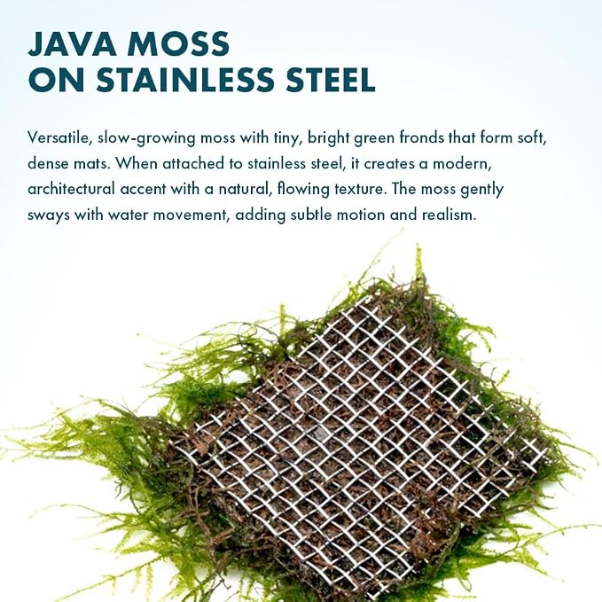 Live Aquarium Plants on Driftwood, Lava Rock, Moss, Fiber Mat - Freshwater Fish Tanks - Easy, Beginner Friendly (Java Moss on Stainless Steel, (3 Pack))