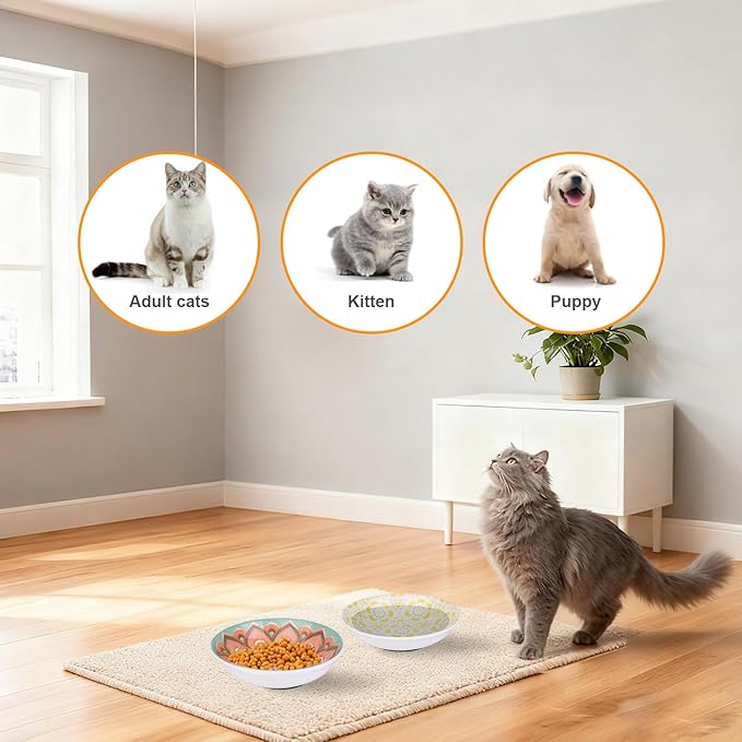 HAPPY KIT Ceramic Cat Food Bowl, Non-Slip Whisker Fatigue Cats Bowl, 5.75” Shallow Dish for Indoor, Boho Whisker Friendly Cat Bowls, Small Kitten Plates with Silicone Bottom