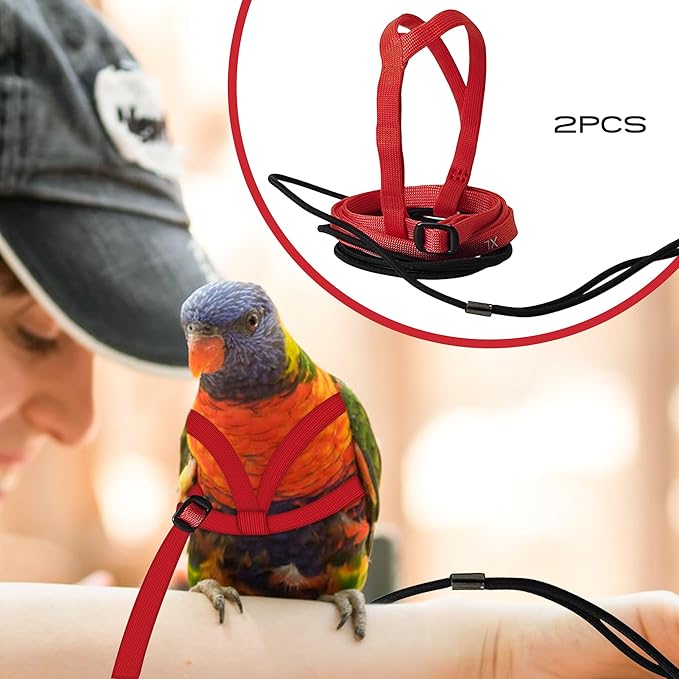 2 pcs Pet Parrot Bird Harness and Leash, Adjustable Training Design Anti-Bite, Outdoor Flying Training Rope Kit for Bird Parrots Fits Birds Chest Between35-62cm /13.78-24.41inch - L (red)