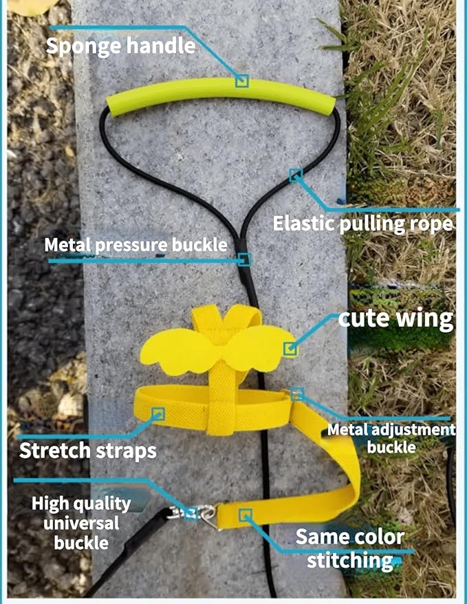 Bird Harness Leash Adjustable Outdoor Training Flying Harness Traction Rope with Cute Wing for Parrots Pigeons Budgerigar Lovebird Cockatiel Mynah (XL,Blue)