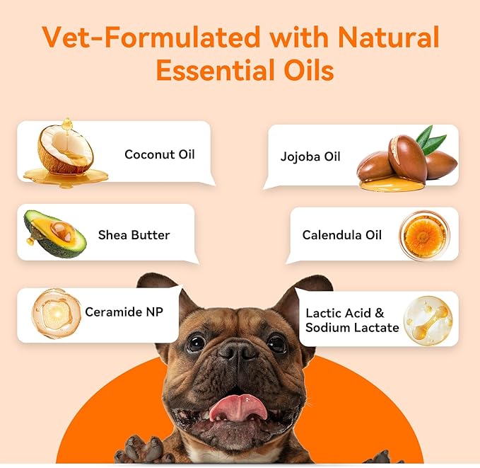 PUAINTA Lick-Safe Dog Paw & Nose Balm with Mess-Free Roller Ball - Safety Cap, Fast-Absorbing Protector for Winter Snow, Salt & Hot Pavement - Unscented Snout Soother - 2oz